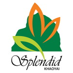 Online Accounting System